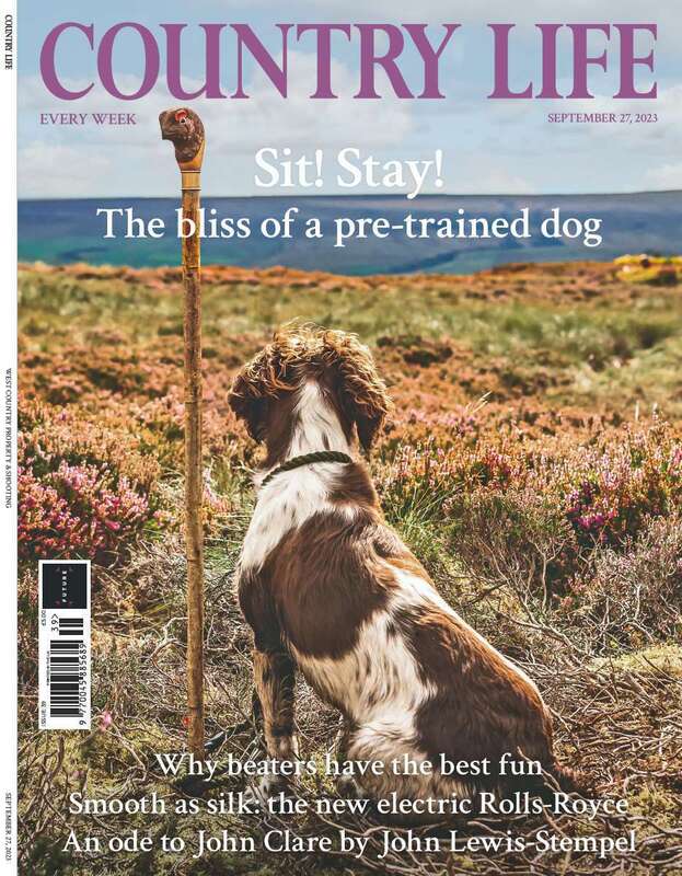 Country Life 21 September 2022 - Country Life