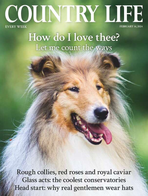 Country Life Magazine - 2024-01-31