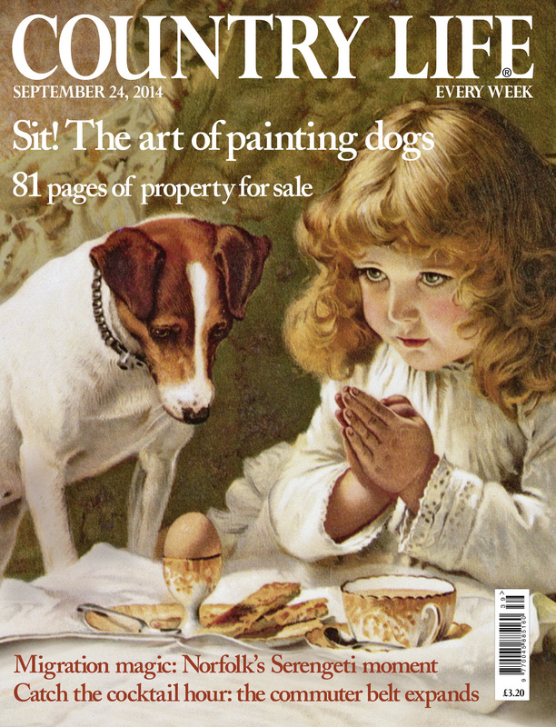 Country Life Special Magazine Subscription Magazines Direct