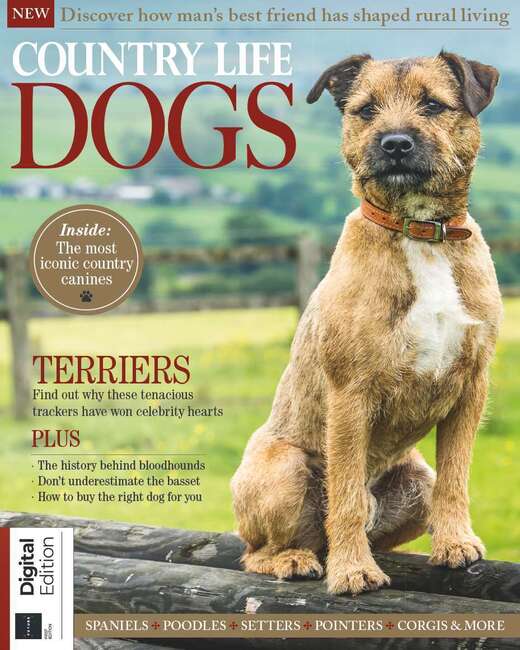 Buy Country Life Magazine Subscription from MagazinesDirect